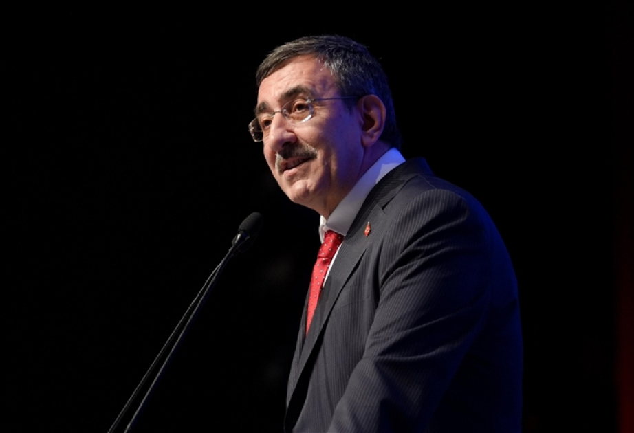 Türkiyənin vitse-prezidenti: Yanacağın bahalaşmasının müvəqqəti olacağına ümid edirik