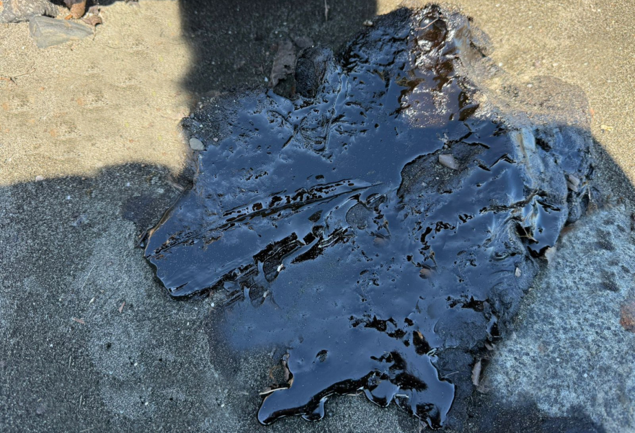 Xəzərin Lənkəran sahillərində neft qalıqlarının yayılması ilə əlaqədar AÇIQLAMA