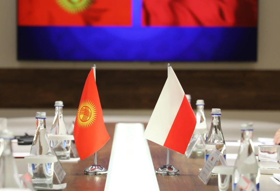 Kyrgyzstan, Poland discuss joint actions on migration management
