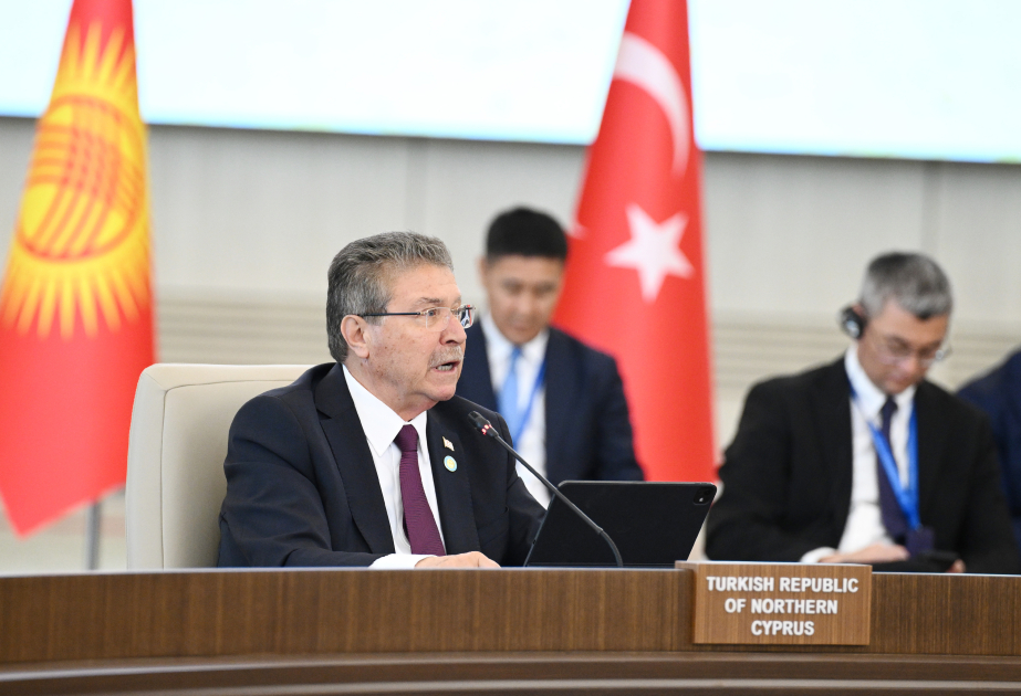 Turkic world discusses establishment of common higher education space