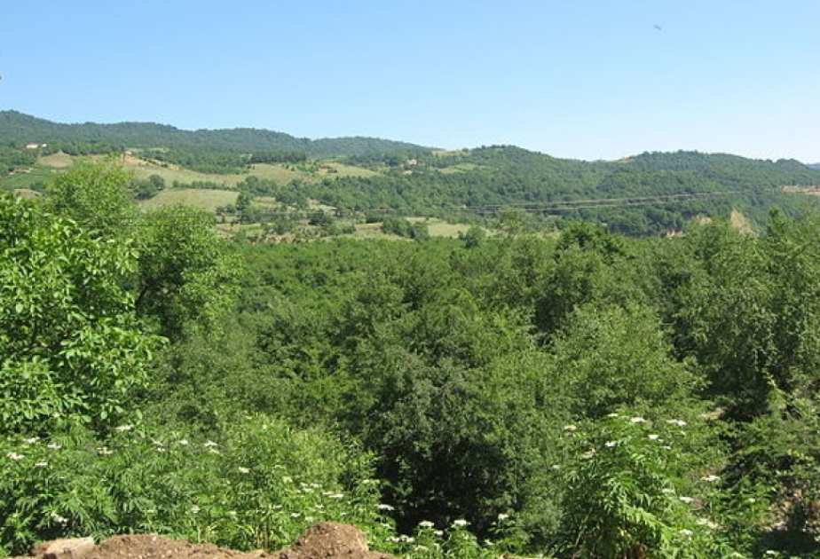 Tədqiqatçı-alim: Azərbaycanın fitososiologiyası kənd təsərrüfatı planlaşdırılmasında strateji əhəmiyyət daşıyır