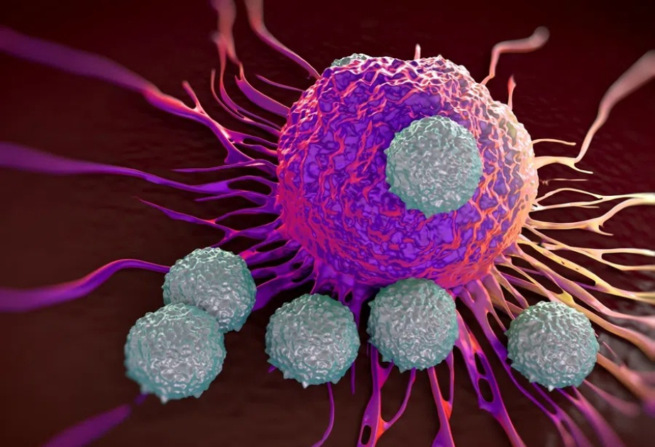 China approves first homegrown nuclear imaging drug for tumor detection