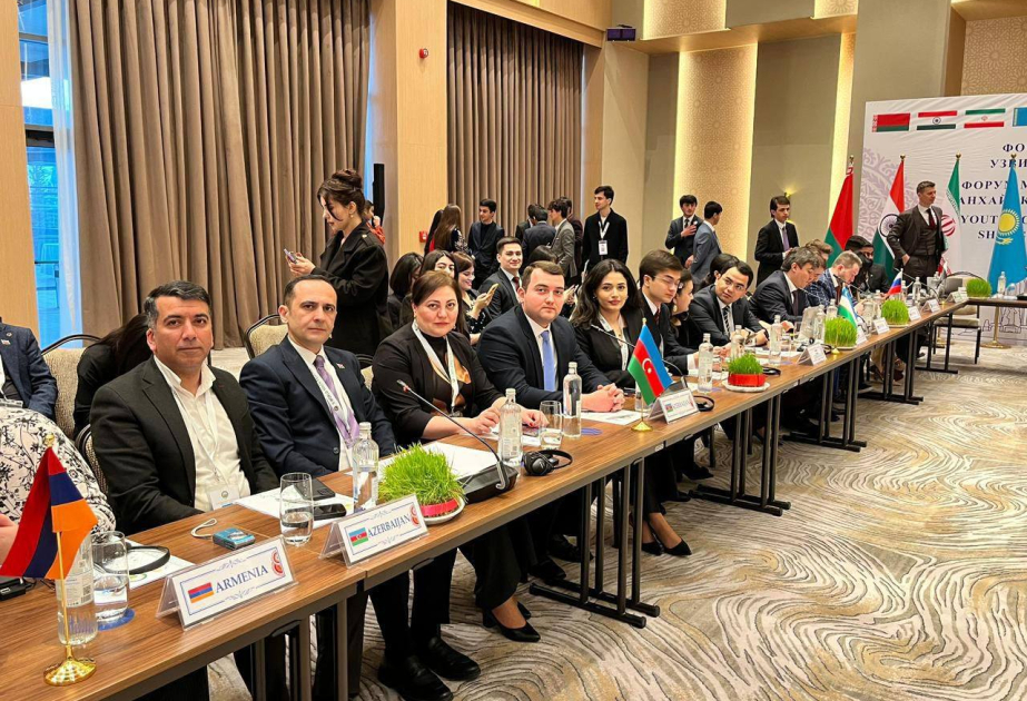 Elməddin Behbud: İkinci Ümumdünya Gənclər Festivalında Azərbaycanın təcrübəsi maraqla qarşılanıb