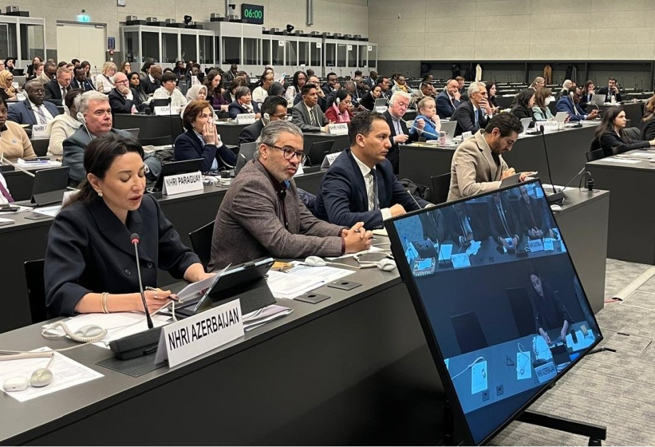 Se presenta en Ginebra la experiencia de Azerbaiyán en la protección de los derechos humanos en el entorno digital
