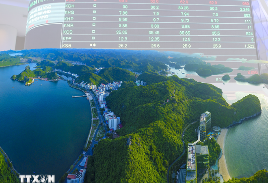 Vietnam launches 13 mln USD project to phase out ozone-depleting substances