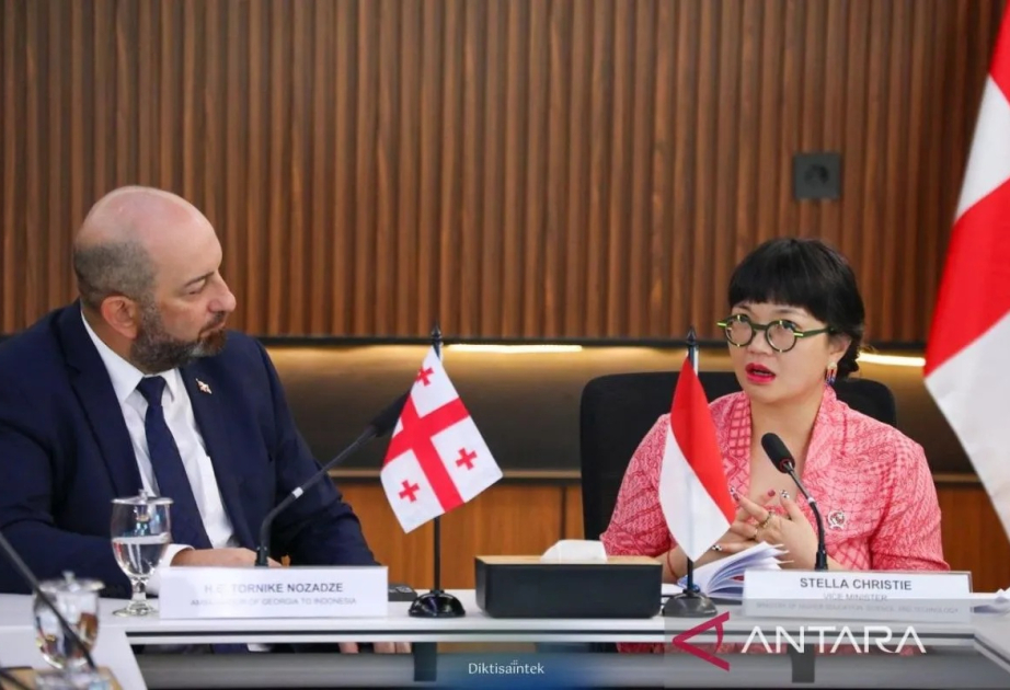 Indonesia, Georgia advance talks on higher education partnership