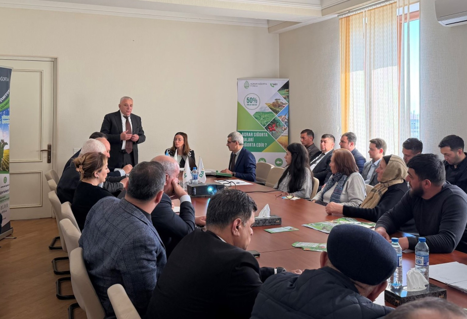 Aqrar Sığorta Fondu: Şabranda fermerlərə aqrar sığorta üzrə 99 min manat ödəniş edilib