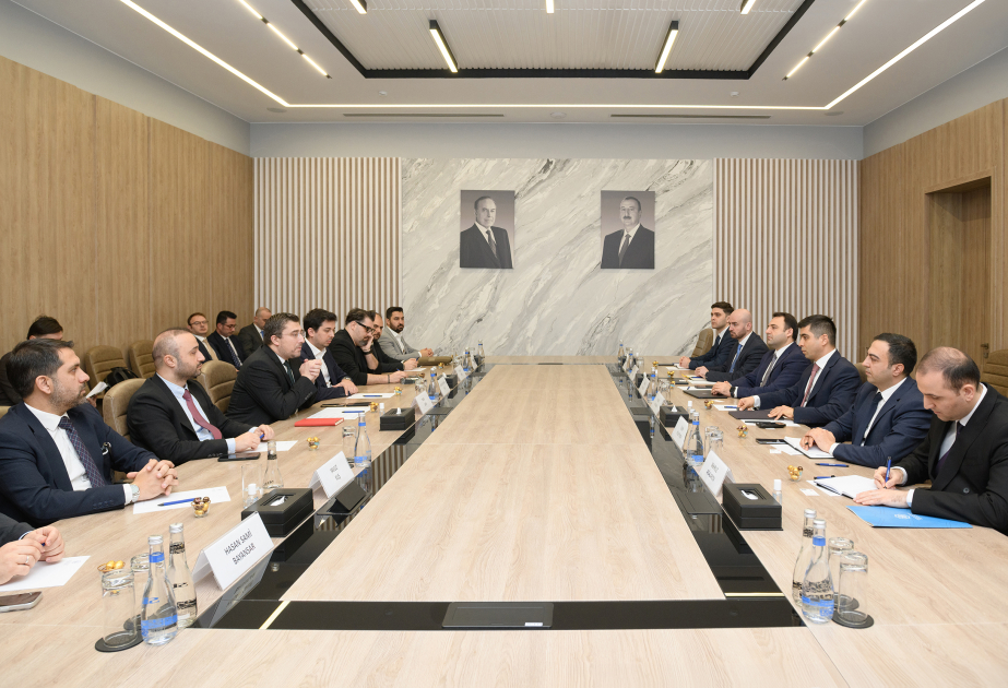 Azerbaijan, Türkiye review cooperation in artificial intelligence