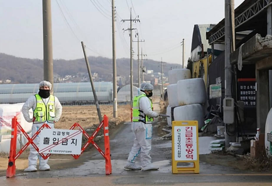 Çində dabaq xəstəliyinin yayılması sərhəd nəzarətinin sərtləşdirilməsinə səbəb olub