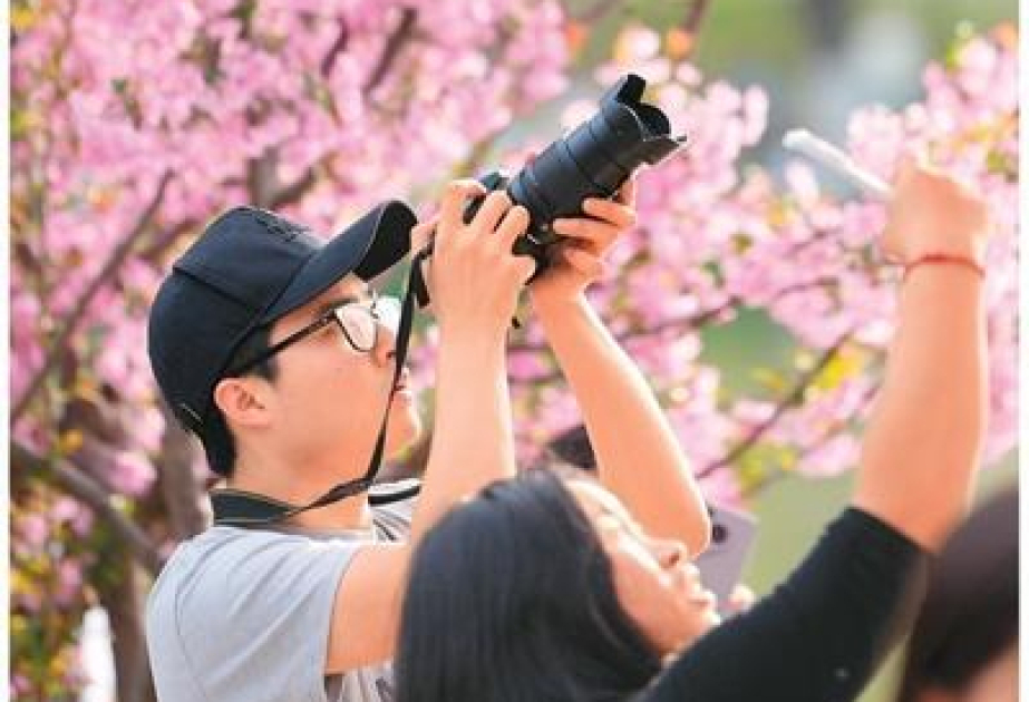 Çində gənclər arasında “rəngli gəzintilər” populyarlaşır