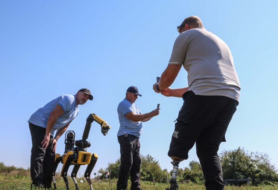 Müharibə vəziyyətində olan Ukraynada minatəmizləmə təcrübəsi