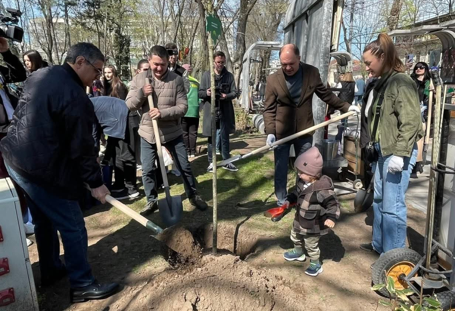 Конгресс азербайджанцев Молдовы принял участие в закладке Аллеи этносов в Кишинэу