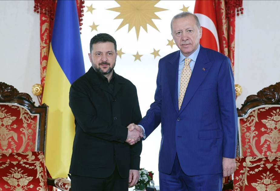 Erdogan reçoit le président ukrainien Zelensky à Istanbul