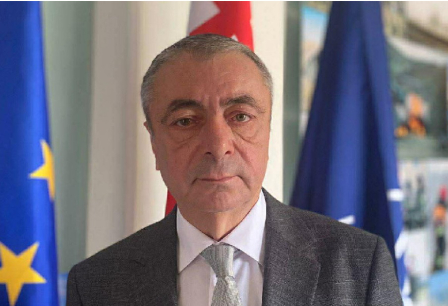 Georgian MP: This visit will contribute to accelerating peace efforts in the Caucasus
