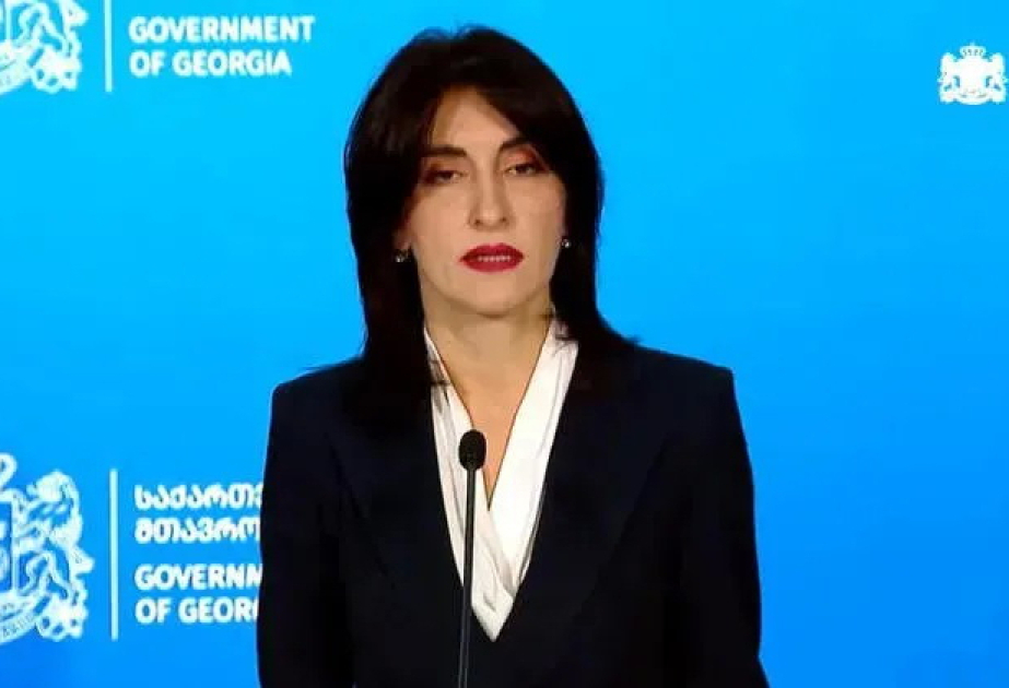 Georgian FM stresses importance of Azerbaijani President’s visit to Georgia