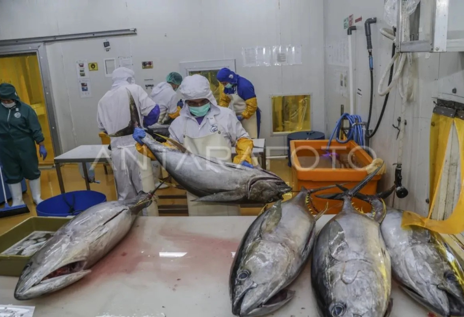 Indonesia, Japan collaborate to bolster fisheries human resources