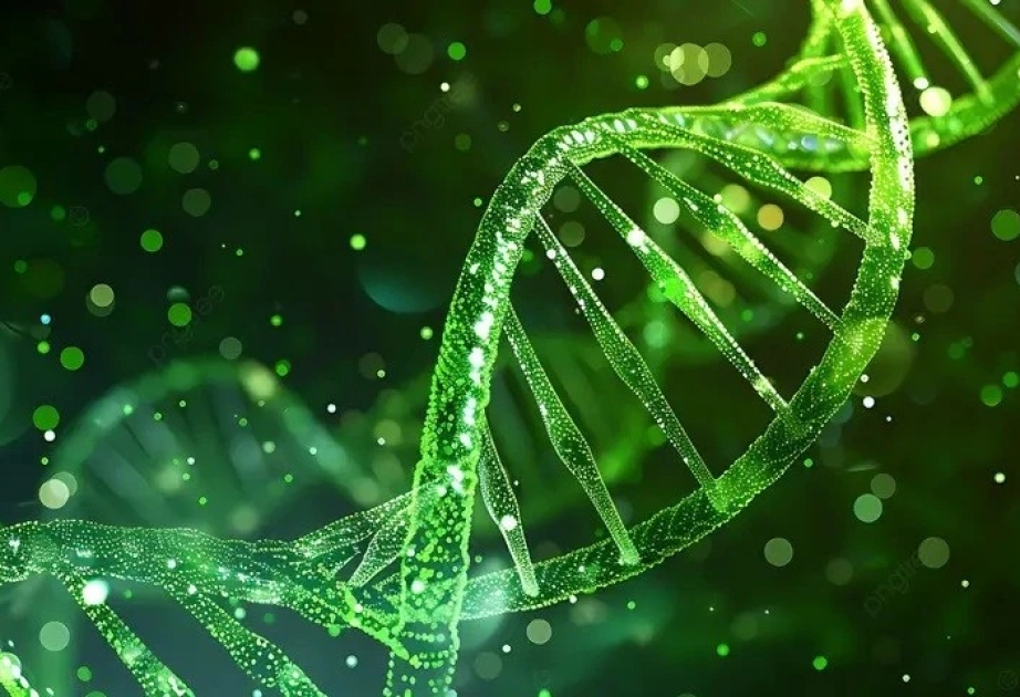 Vietnamese scientists unlock genetic insights into rare diseases