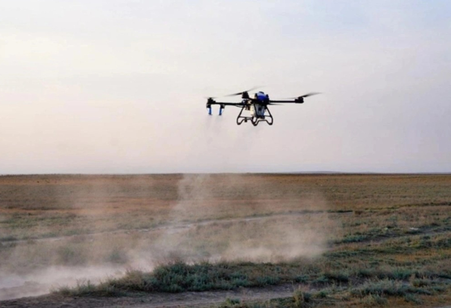 Kazakhstan to deploy over 100 agro-drones to fight against locusts