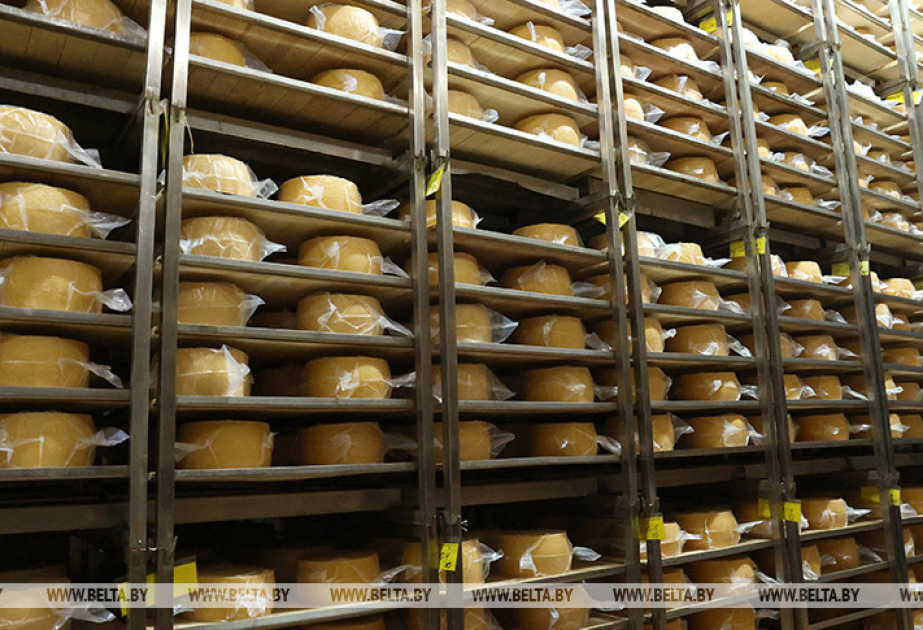 Dairy products lead Belarus’ export growth in 2025