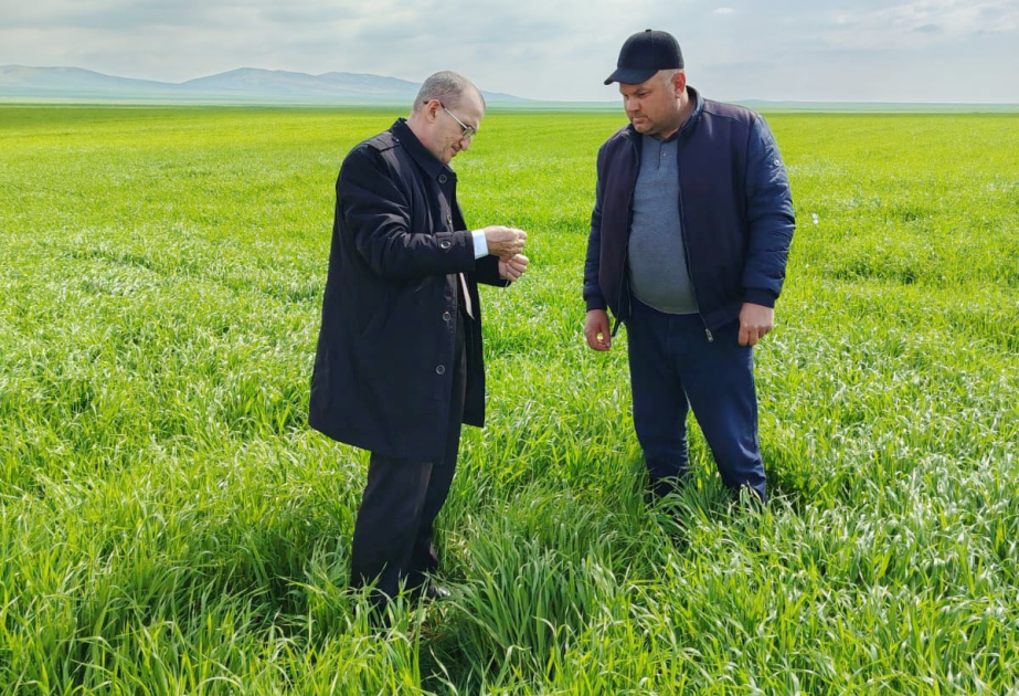 Mərkəz rəisi: Mövsümi aqrotexniki tədbirlərin düzgün təşkili bitkiçilikdə mühüm rol oynayır