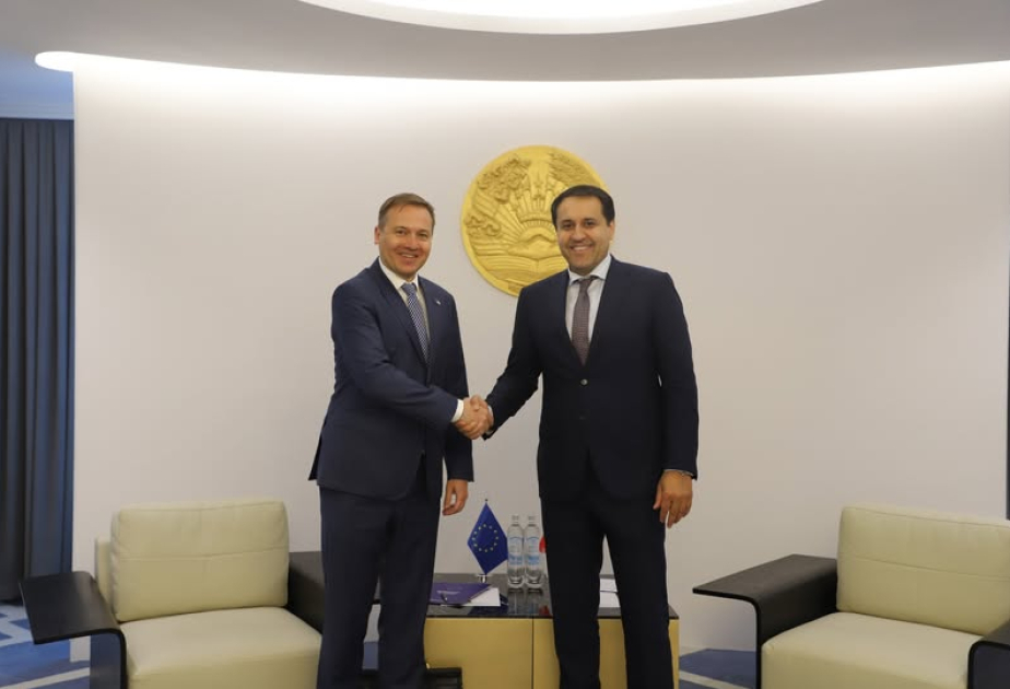 Tajikistan, EU hold talks on Digital Economy cooperation