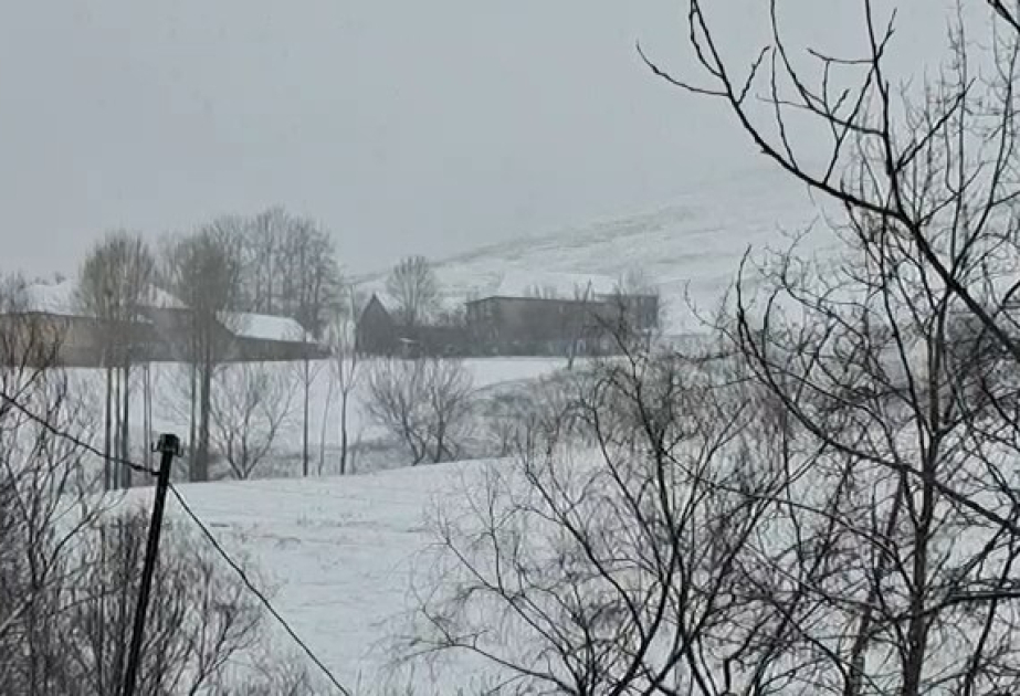 Tovuzun ucqar dağ kəndlərinə qar yağır VİDEO