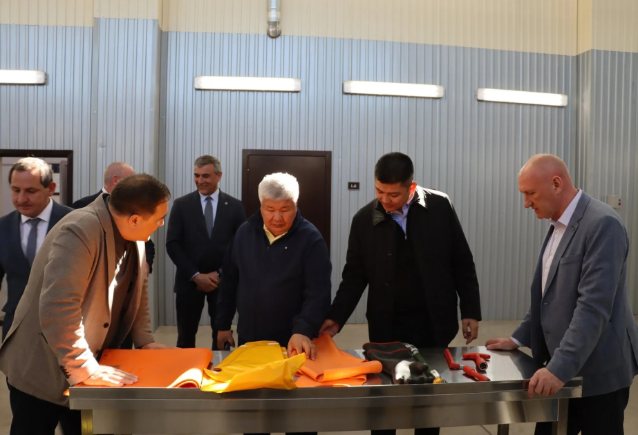 Kyrgyzstan and Tatarstan to expand cooperation in energy sector