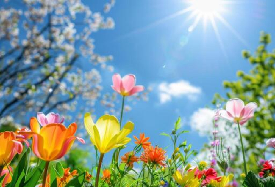 Завтра в столице осадков не ожидается