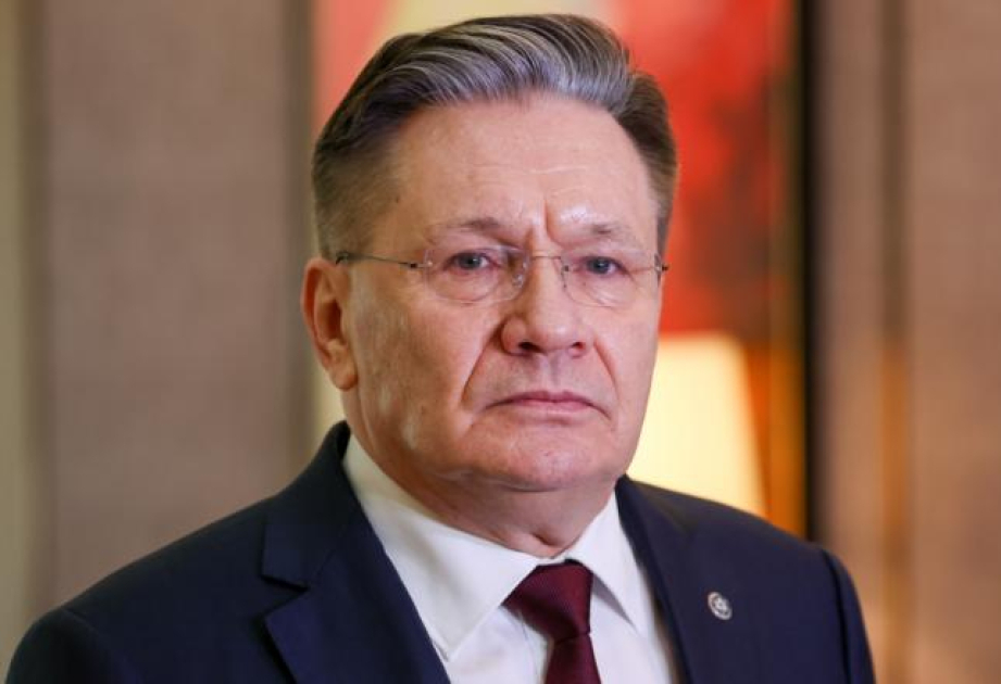 Россия рассматривает возможность возобновления проекта «Бушер»