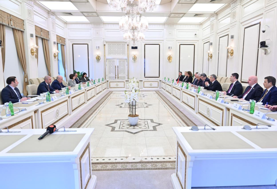 Sahiba Gafarova: Azerbaijan–Türkiye–Northern Cyprus format boosts cooperation