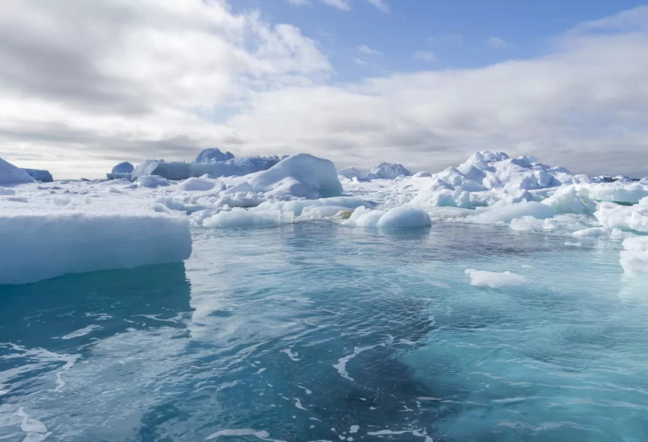 Researchers stumble across an island that is not on any map