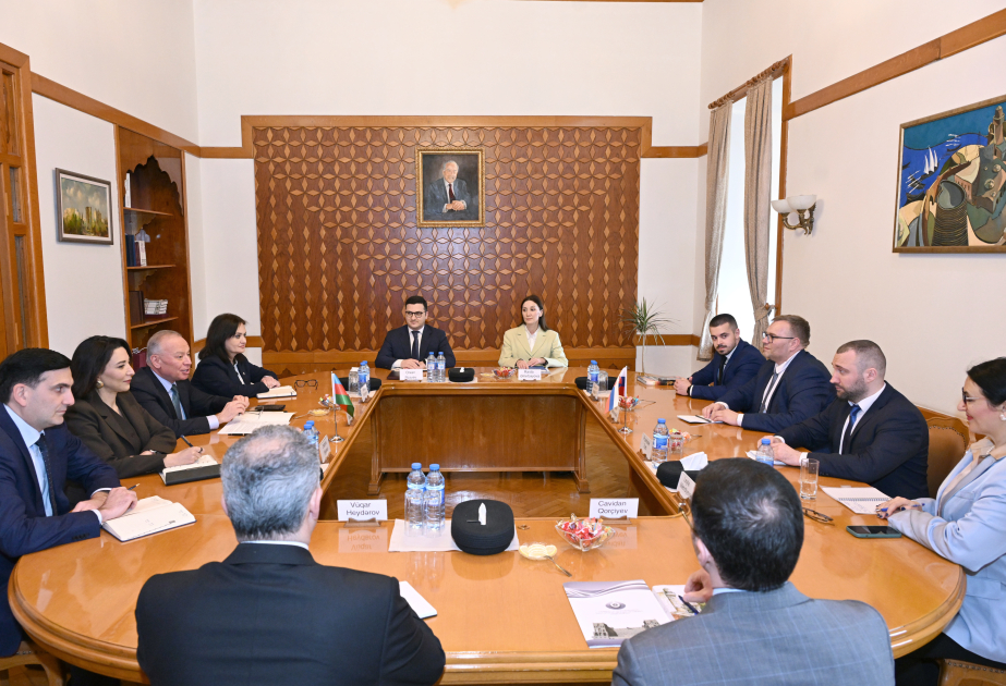 Azerbaijan, Slovakia discuss judicial cooperation