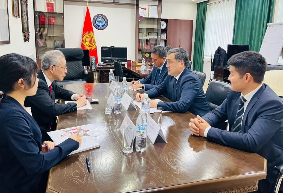 Kyrgyzstan and Japan expand cooperation in labor migration