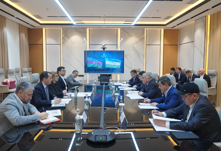 La vice-présidente de la SOCAR rencontre le président du Conseil d’administration d’Uzbekneftegaz