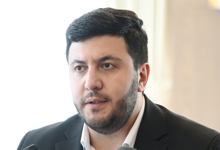 Areq Koçinyan: Normallaşmanın əsas prinsiplərindən biri tələsməməkdir