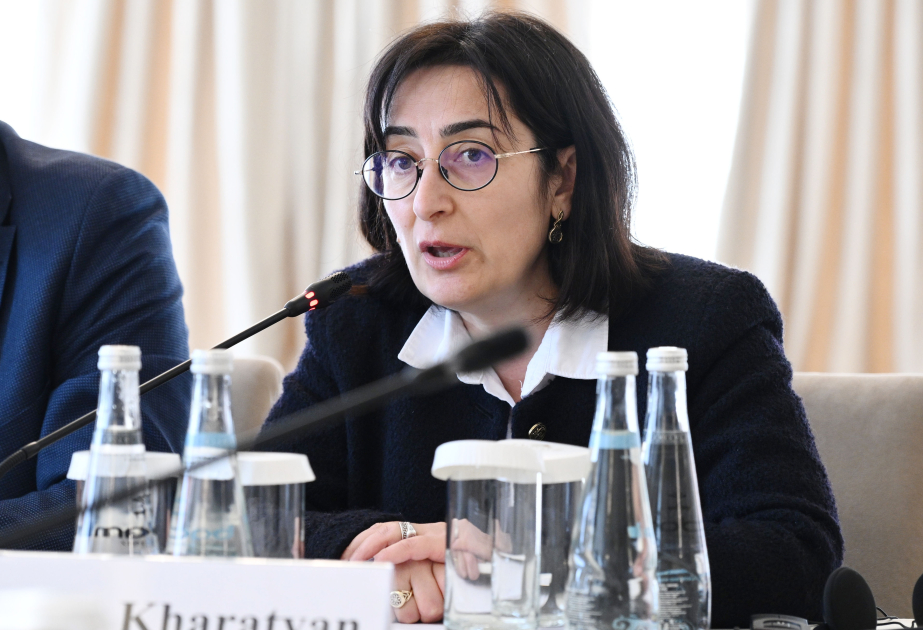 Armenische Autorin: Weniger Aggression in Medien stärkt Friedensprozess