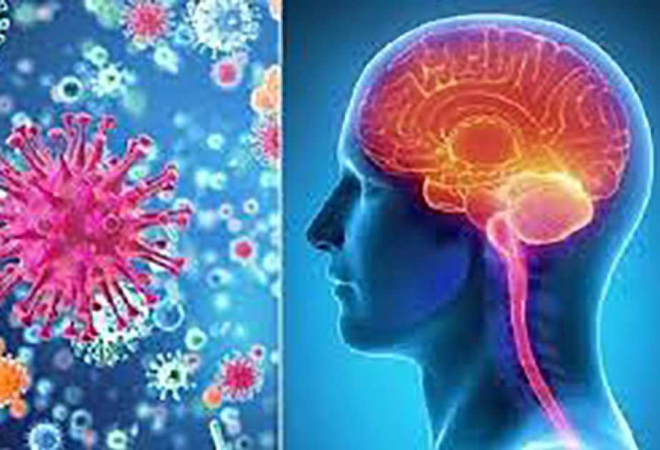 Vietnam raises alert over meningococcal disease after 4 deaths