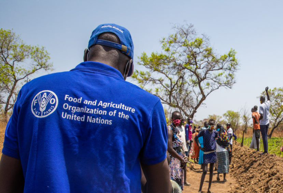Les perturbations à Ormuz font craindre une crise alimentaire mondiale