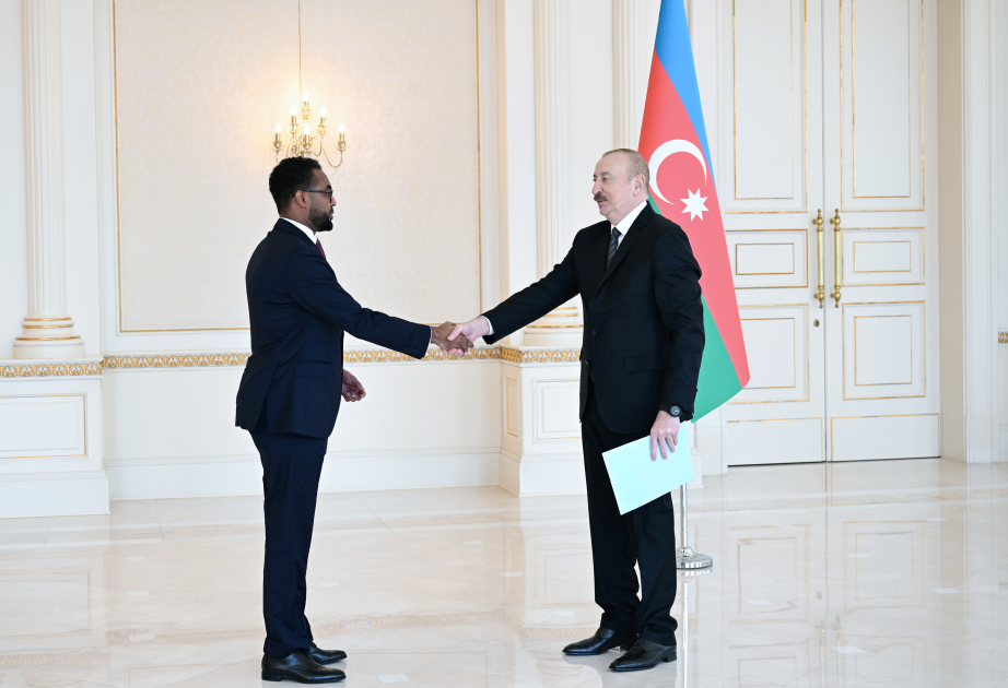 President Ilham Aliyev received newly appointed ambassador of Somalia to Azerbaijan VIDEO