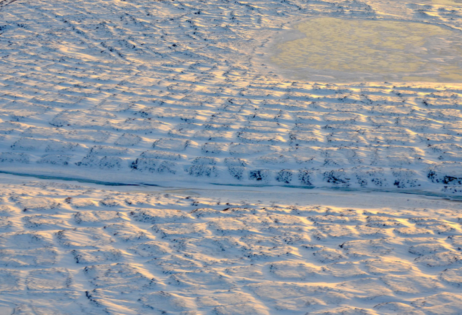 New study unveils environmental behaviors of persistent organic pollutants in permafrost regions