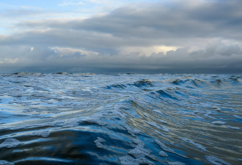 Nordsee war 2025 an der Oberfläche so warm wie noch nie