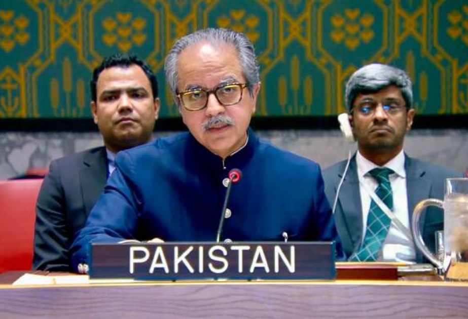 UNSC’s dysfunction driven by veto power, Pakistan says; rejects new permanent seats