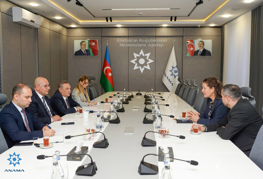 BMT-nin nümayəndəsinə Azərbaycanın mina problemi barədə məlumat verilib