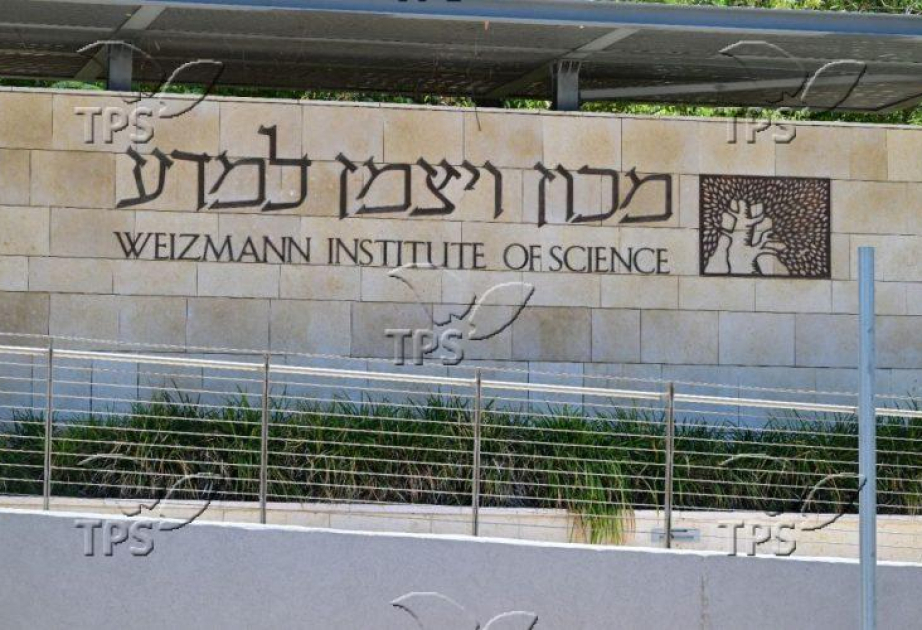 Ant colonies ınspire next-generation robotics and self-building structures