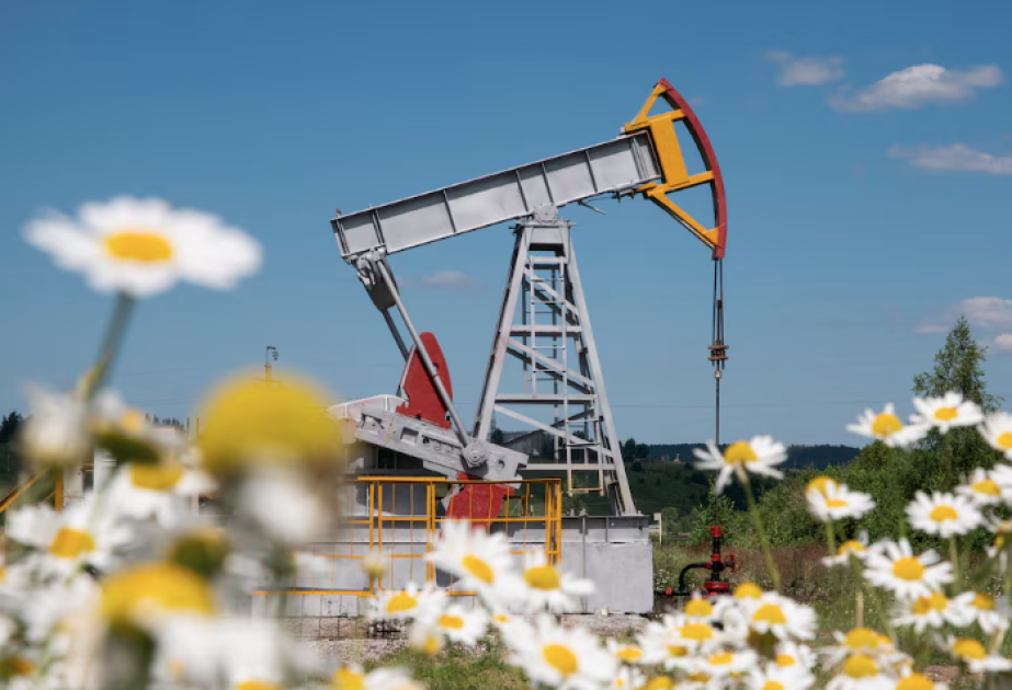 Oil prices fluctuate in global markets VIDEO