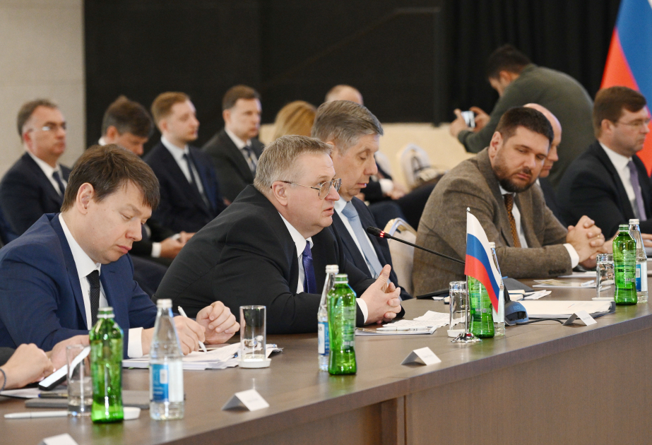 Azerbaijan facilitated evacuation of over 500 Russian citizens from Iran, says Russian Deputy PM