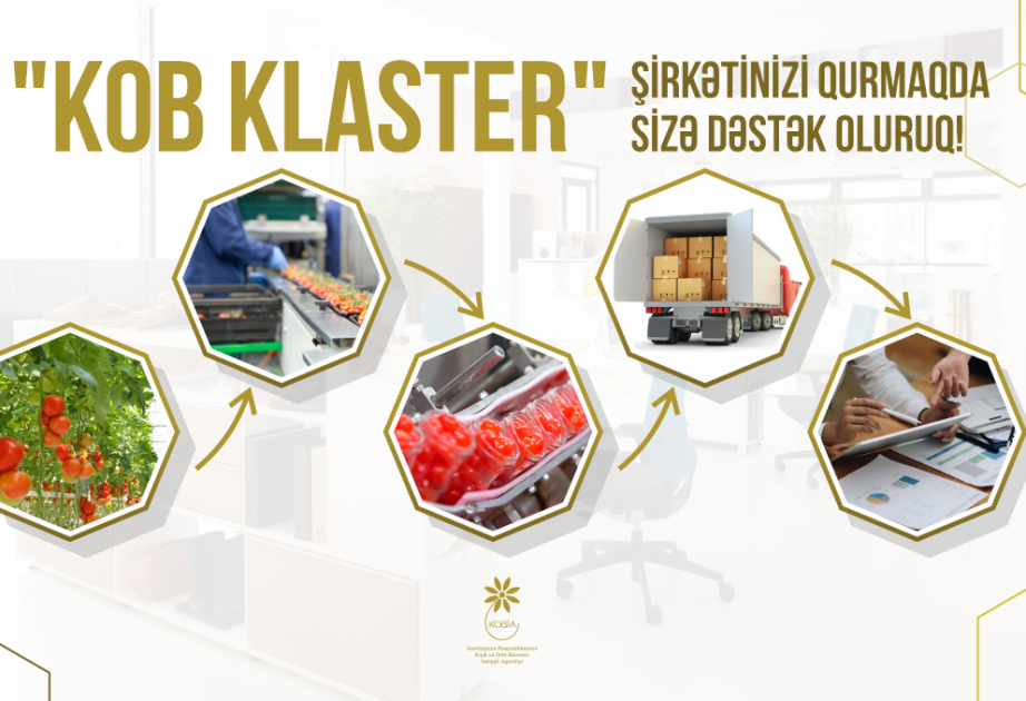 Klasterləşmə: sahibkarlar üçün imkanlar və perspektivlər – MÜSAHİBƏ