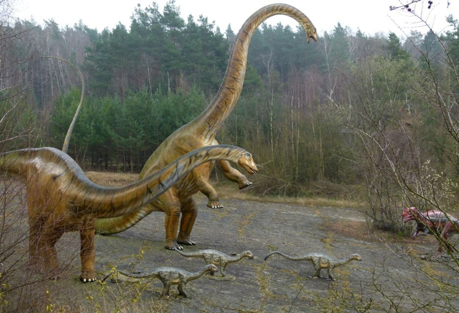Schafhirte entdeckt Dino-Riesen Bicharracosaurus dionidei
