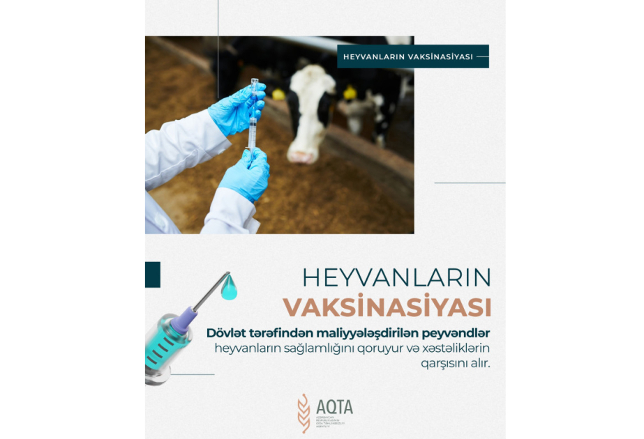 AQTA: Peyvənd aparılacağı barədə fermer və ya ailə təsərrüfatının sahibi məlumatlandırılmalıdır