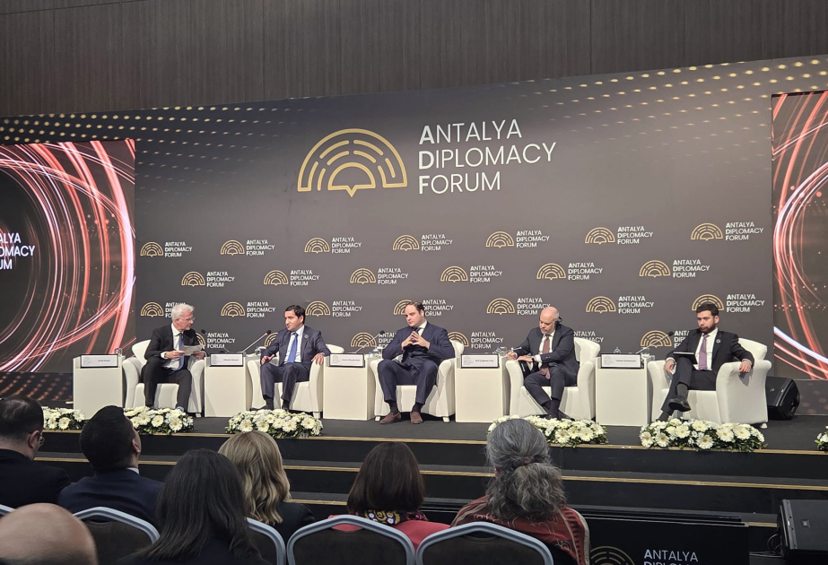 Hikmət Hacıyev: Azərbaycan regionda sülh gündəliyinə tam sadiqdir